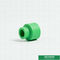 OEM ODM ile Ev İçin 20mm Yeşil Plastik Boru Ekleme Ppr Eşit Kaplin
