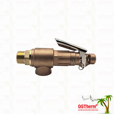 Pirinç Emniyet Ventili 1/2"-2" Boru Hattı Sistemi Aşırı Basınç Koruması Cihazı Özelleştirilmiş LOGO