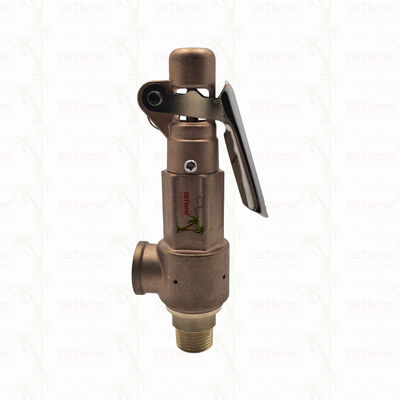 Pirinç Emniyet Ventili 1/2"-2" Boru Hattı Sistemi Aşırı Basınç Koruması Cihazı Özelleştirilmiş LOGO